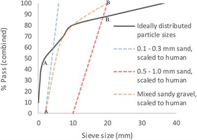 The Injury Mechanism of Traumatic Amputation